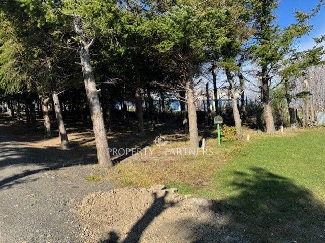 place photo 34