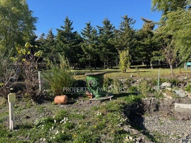 place photo 33