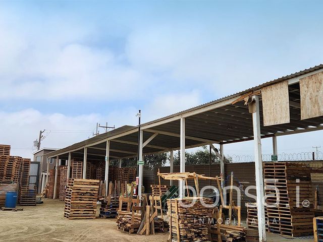 place photo 16