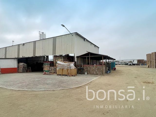place photo 13
