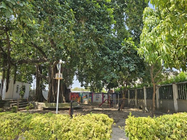 place photo 21