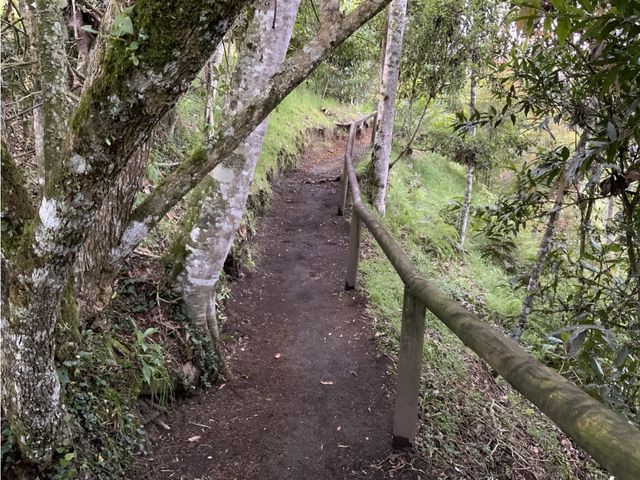 place photo 36