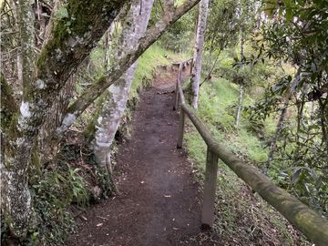 place photo 36