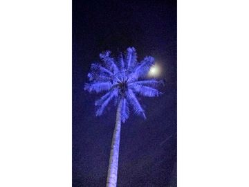 place photo 31