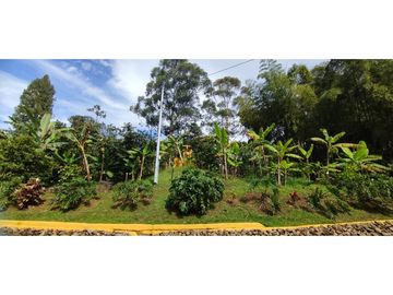place photo 44