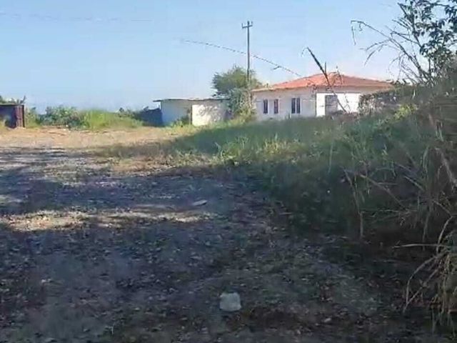 place photo 10