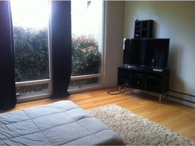 place photo 39