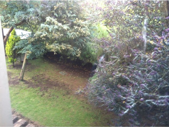 place photo 73