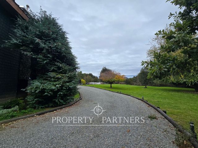 place photo 46
