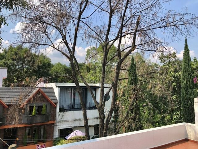 place photo 34