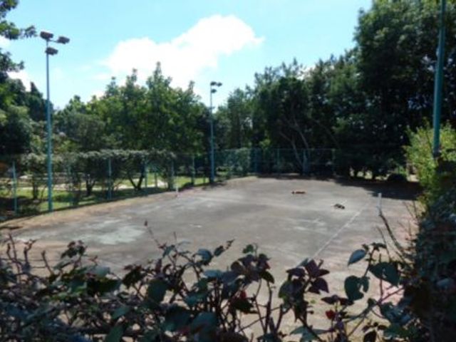 place photo 6