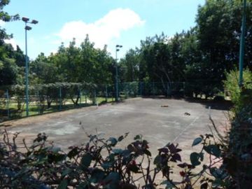 place photo 6