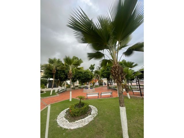 place photo 39