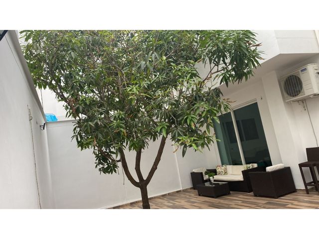 place photo 37