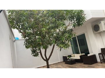 place photo 37