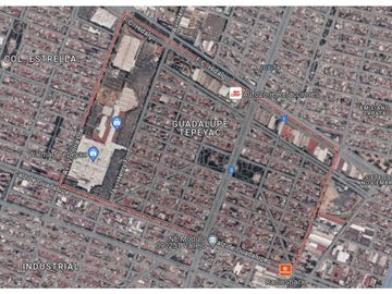 place photo 17