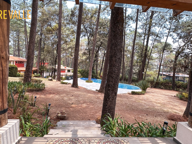 place photo 32