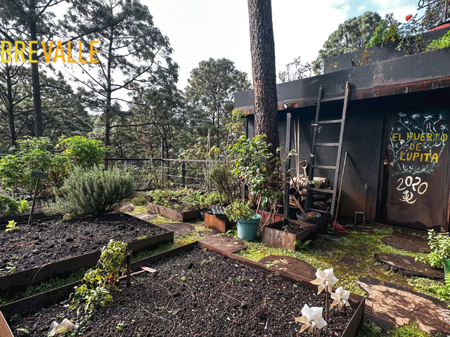 place photo 22