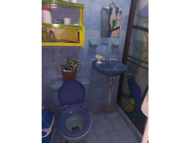 place photo 15