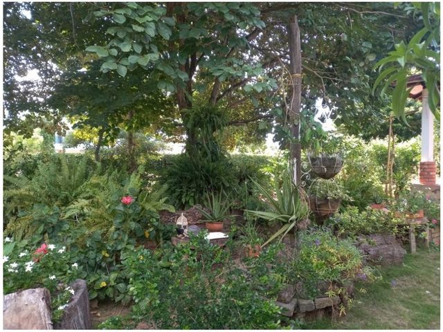 place photo 33