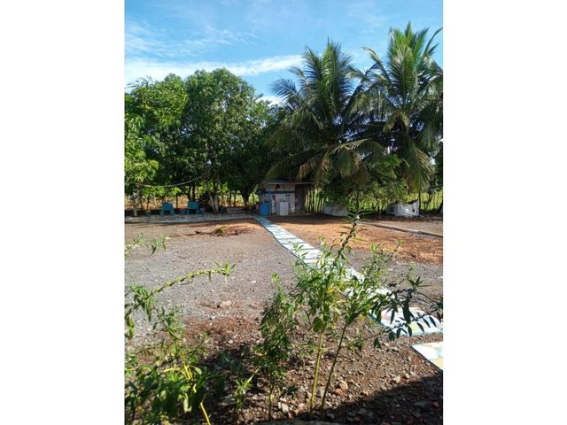 place photo 39