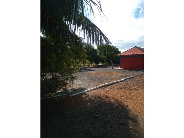 place photo 37