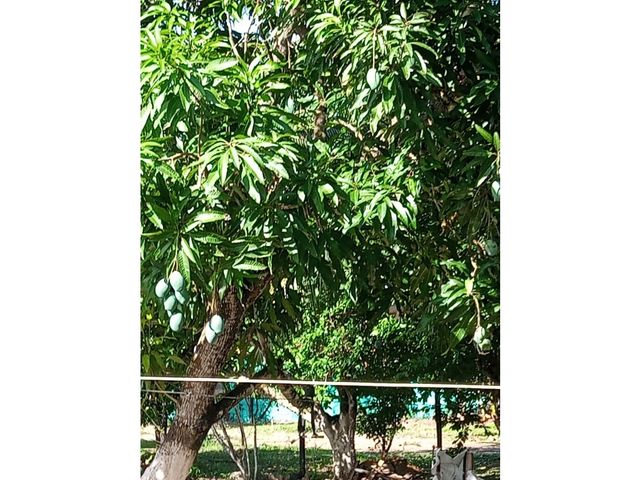 place photo 44