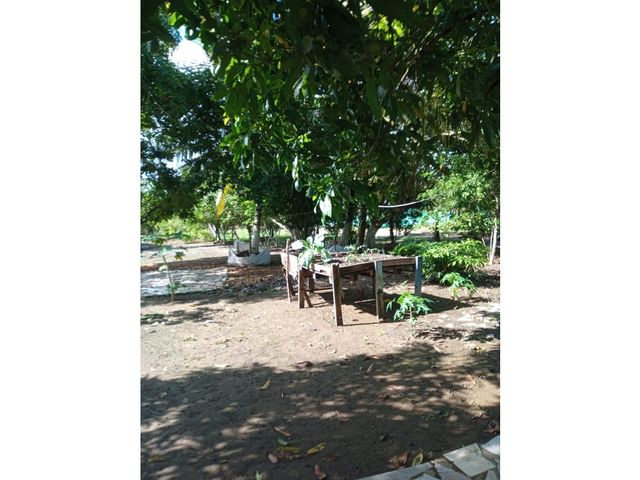 place photo 40