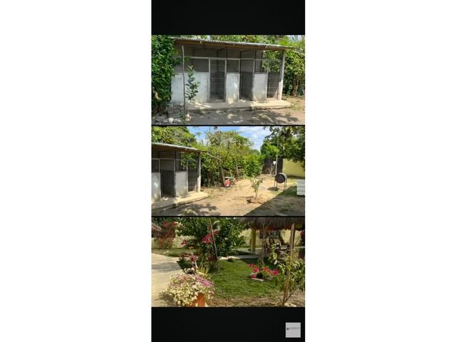 place photo 19
