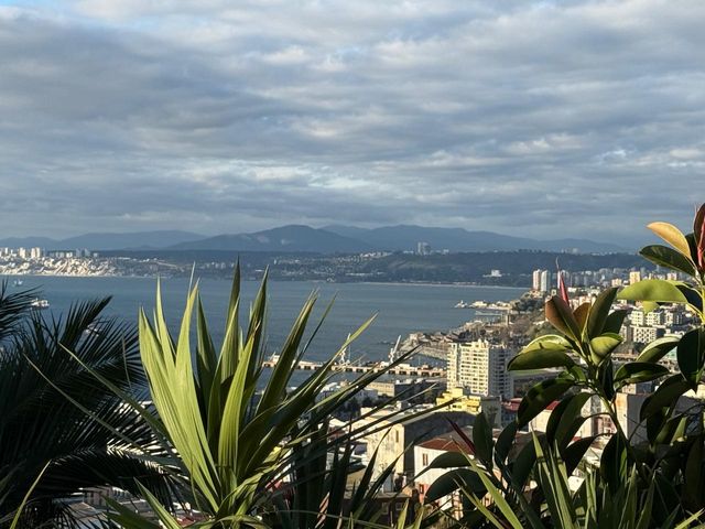place photo 30