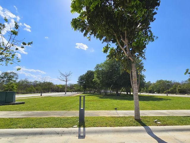 place photo 26