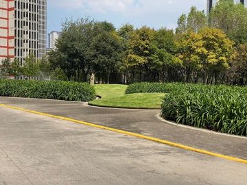 place photo 37