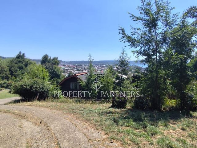 place photo 21