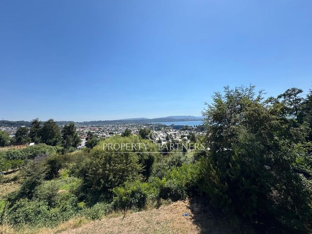 place photo 41