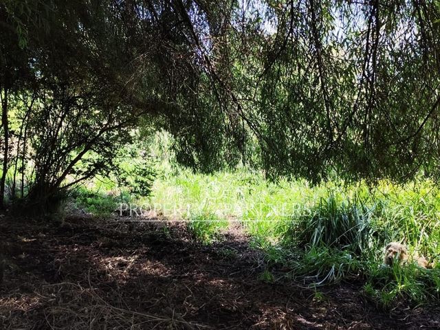 place photo 43
