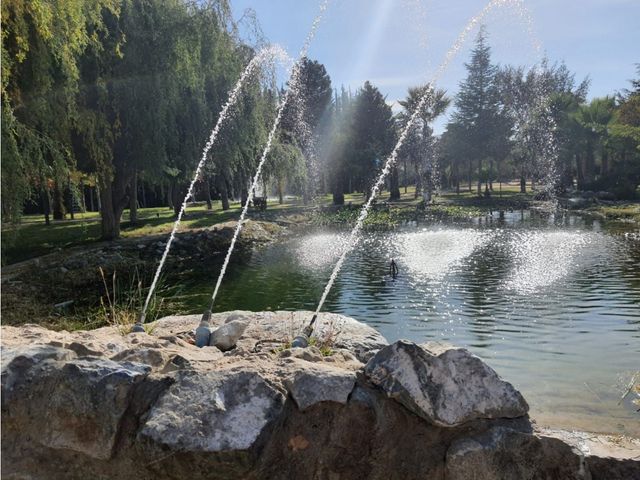 place photo 30