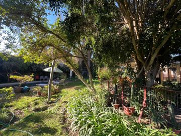 place photo 39