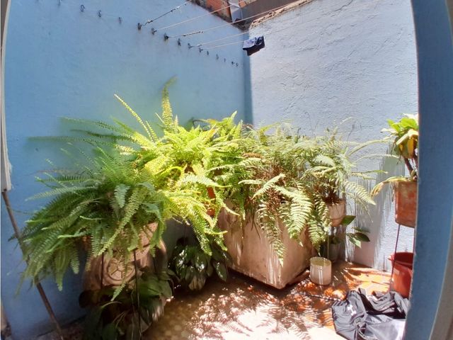 place photo 18