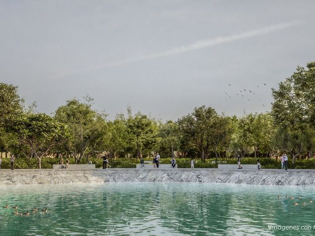 place photo 19