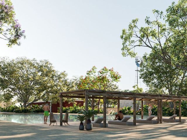 place photo 26