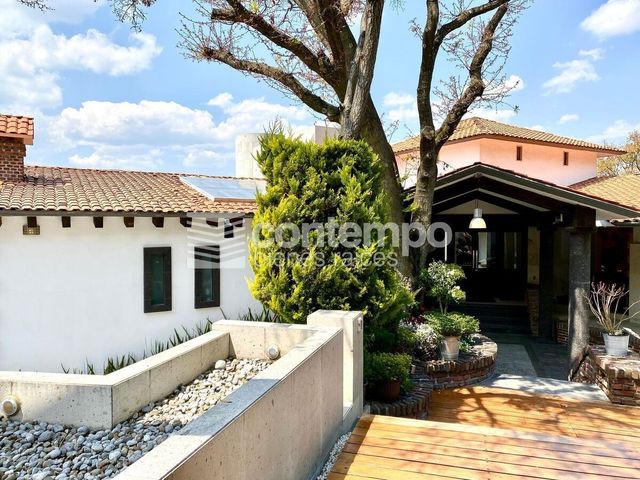 place photo 47