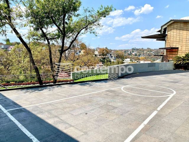 place photo 42