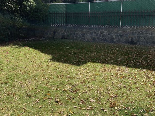 place photo 32