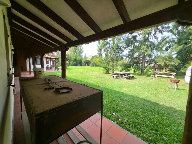 place photo 42