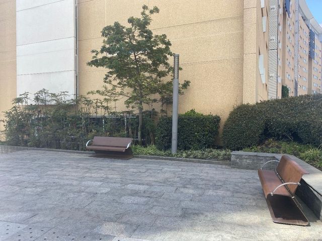 place photo 17