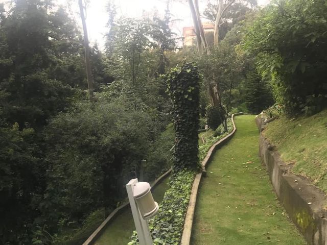 place photo 40