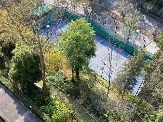 place photo 28
