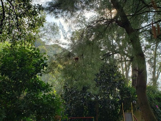 place photo 36