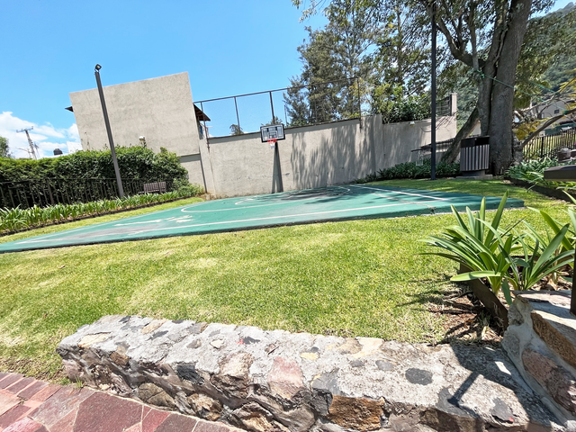 place photo 29