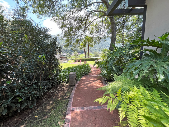 place photo 32